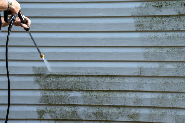Best Custom Siding Design  in Wenatchee, WA